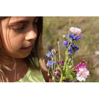 Mon herbier gourmand en famille