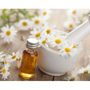 Atelier de cueillette et apprentissage des plantes médicinales