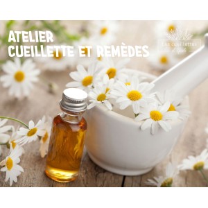 Atelier de cueillette et apprentissage des plantes médicinales