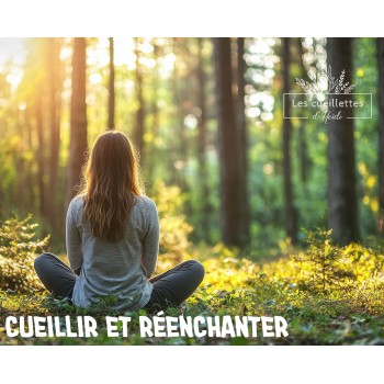 Bain de forêt Shinrin Yoku