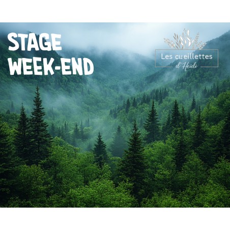 stages week-end cueillette plantes sauvage