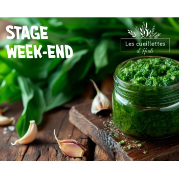 stages week-end cueillette plantes sauvage