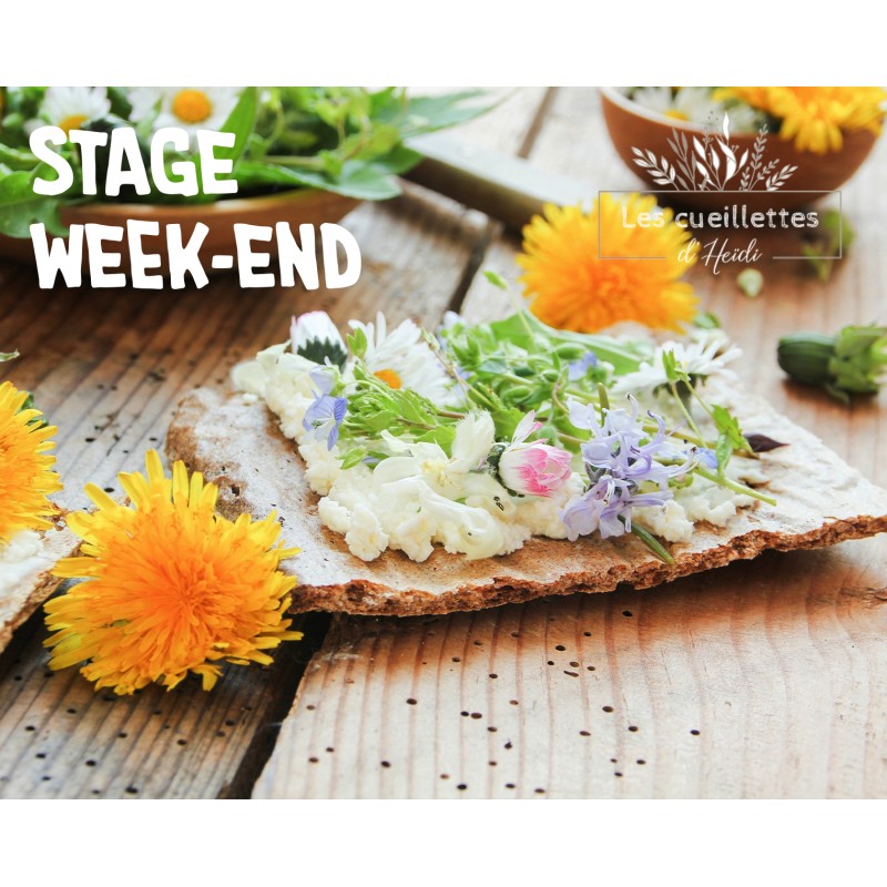 stages week-end cueillette plantes sauvage