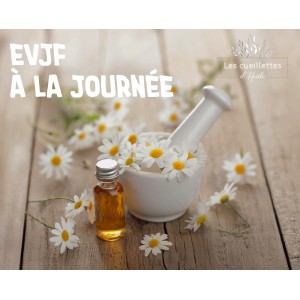 EVJF stage cueillette sauvage à la journée