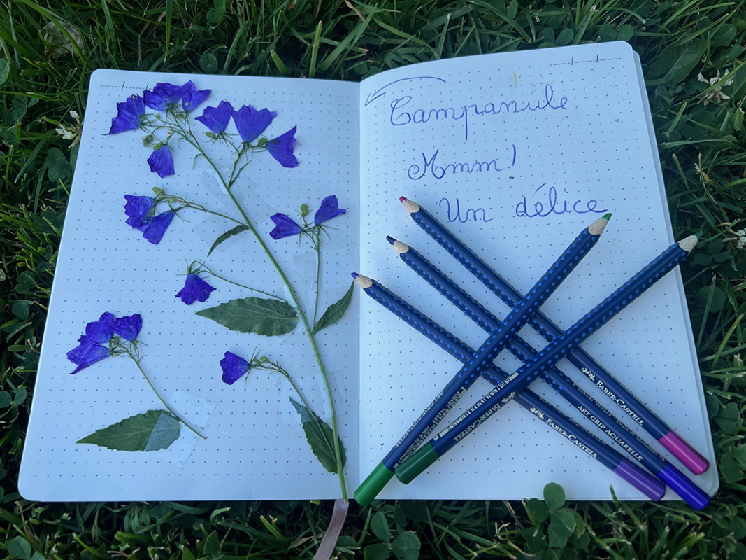 herbier-gourmand-en-famille.jpg